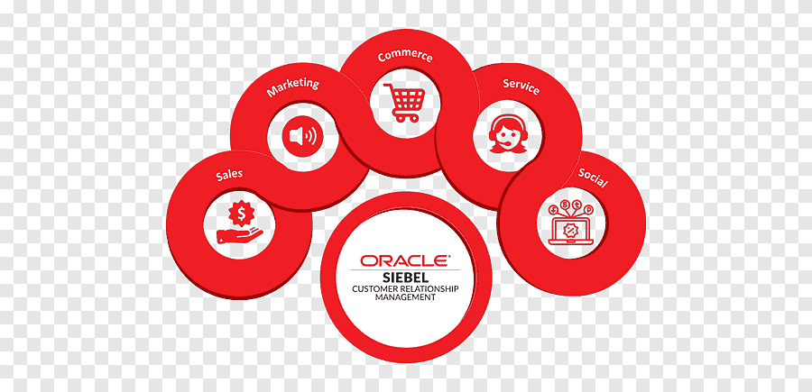 Siebel CRM Development